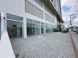 https://img.olx.com.br/thumbs256x256/78/788458146460428.jpg