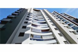 https://img.olx.com.br/thumbs256x256/78/788510401346445.jpg