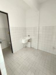 https://img.olx.com.br/thumbs256x256/78/788539529536464.jpg
