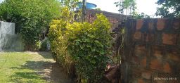 https://img.olx.com.br/thumbs256x256/78/788560276131539.jpg