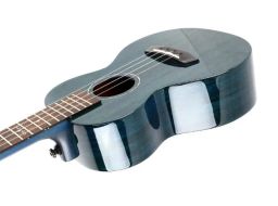 https://img.olx.com.br/thumbs256x256/78/789504121749979.jpg