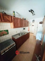 https://img.olx.com.br/thumbs256x256/78/789520640807191.jpg