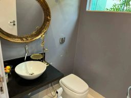 https://img.olx.com.br/thumbs256x256/78/789559641401441.jpg