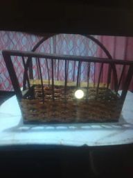 https://img.olx.com.br/thumbs256x256/79/790467360090485.jpg
