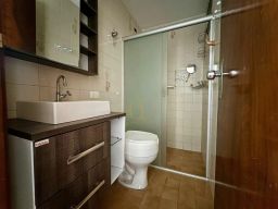 https://img.olx.com.br/thumbs256x256/79/792521288868907.jpg