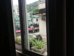 https://img.olx.com.br/thumbs256x256/79/793521400673345.jpg