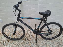 https://img.olx.com.br/thumbs256x256/79/793584372518916.jpg