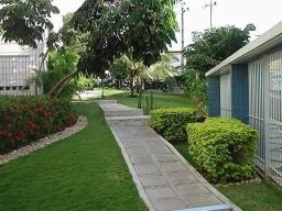 https://img.olx.com.br/thumbs256x256/79/794575409889734.jpg