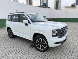 https://img.olx.com.br/thumbs256x256/79/794642785005837.jpg