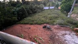 https://img.olx.com.br/thumbs256x256/79/795443819141452.jpg