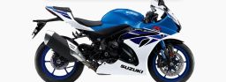 https://img.olx.com.br/thumbs256x256/79/795475667453605.jpg