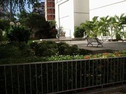 https://img.olx.com.br/thumbs256x256/79/795548888539714.jpg