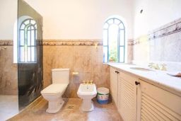 https://img.olx.com.br/thumbs256x256/79/795558404731297.jpg