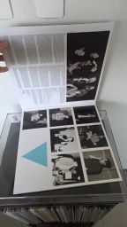 https://img.olx.com.br/thumbs256x256/79/795627166799430.jpg
