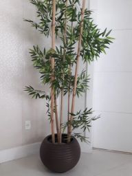 https://img.olx.com.br/thumbs256x256/79/797520724021668.jpg