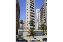 https://img.olx.com.br/thumbs256x256/79/797530383811146.jpg