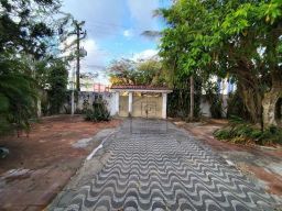 https://img.olx.com.br/thumbs256x256/79/797567763326149.jpg