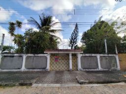 https://img.olx.com.br/thumbs256x256/79/797595640548307.jpg