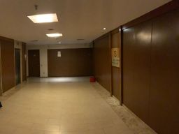 https://img.olx.com.br/thumbs256x256/79/799552636252772.jpg