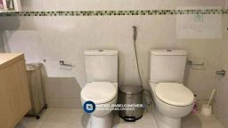 https://img.olx.com.br/thumbs256x256/79/799558284159552.jpg