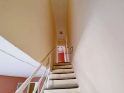 https://img.olx.com.br/thumbs256x256/80/800501156816542.jpg