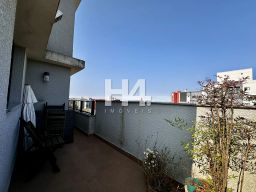 https://img.olx.com.br/thumbs256x256/80/800524033342007.jpg