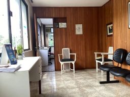 https://img.olx.com.br/thumbs256x256/80/800537516898866.jpg