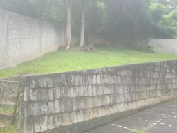 https://img.olx.com.br/thumbs256x256/80/801519642610690.jpg