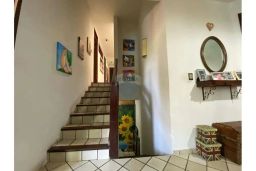 https://img.olx.com.br/thumbs256x256/80/801561644373171.jpg