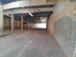 https://img.olx.com.br/thumbs256x256/80/801577271680919.jpg