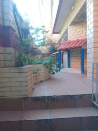 https://img.olx.com.br/thumbs256x256/80/802536162493222.jpg