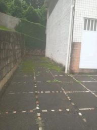 https://img.olx.com.br/thumbs256x256/80/803509288281990.jpg
