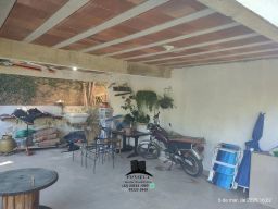 https://img.olx.com.br/thumbs256x256/80/803535403423790.jpg