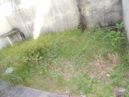 https://img.olx.com.br/thumbs256x256/80/803543400397256.jpg