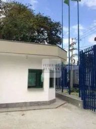 https://img.olx.com.br/thumbs256x256/80/803547162941806.jpg