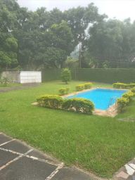 https://img.olx.com.br/thumbs256x256/80/804570041050500.jpg