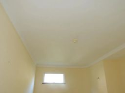 https://img.olx.com.br/thumbs256x256/80/804579525752267.jpg