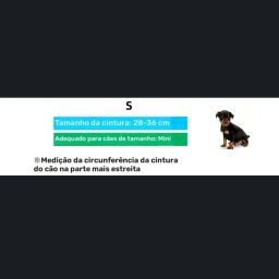 https://img.olx.com.br/thumbs256x256/80/805666314525781.jpg