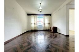 https://img.olx.com.br/thumbs256x256/80/807541523691376.jpg