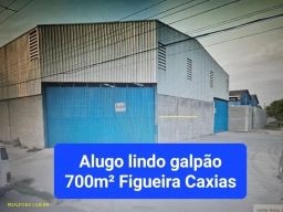 https://img.olx.com.br/thumbs256x256/80/807571525580869.jpg