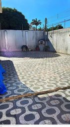 https://img.olx.com.br/thumbs256x256/80/807579525602310.jpg