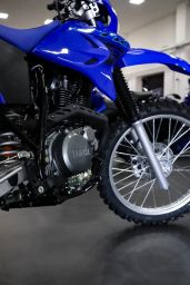 https://img.olx.com.br/thumbs256x256/80/808503761975277.jpg
