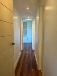 https://img.olx.com.br/thumbs256x256/80/808528285711745.jpg