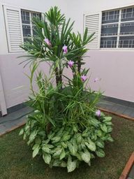 Casa com 04 quartos e área de lazer no Conjunto Costa Teles I, Uberaba-MG.