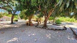 https://img.olx.com.br/thumbs256x256/80/809511407466509.jpg