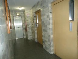 https://img.olx.com.br/thumbs256x256/80/809540120518007.jpg