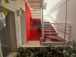 https://img.olx.com.br/thumbs256x256/80/809543273131547.jpg
