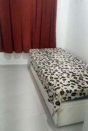 https://img.olx.com.br/thumbs256x256/81/810450589114746.jpg