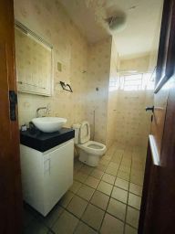 https://img.olx.com.br/thumbs256x256/81/810529394690211.jpg