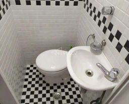 https://img.olx.com.br/thumbs256x256/81/810539520100855.jpg